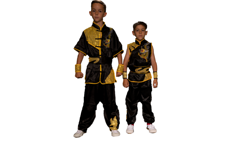 Kinder Kung Fu für Anfänger